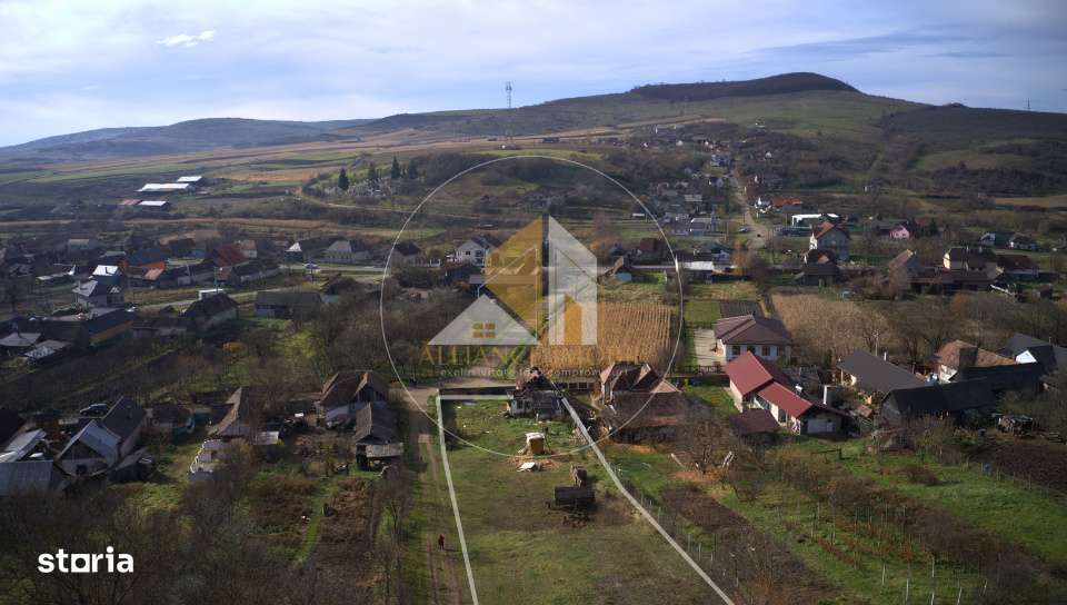 Teren intravilan de vanzare – Dipsa - Imagine principală: 5/5