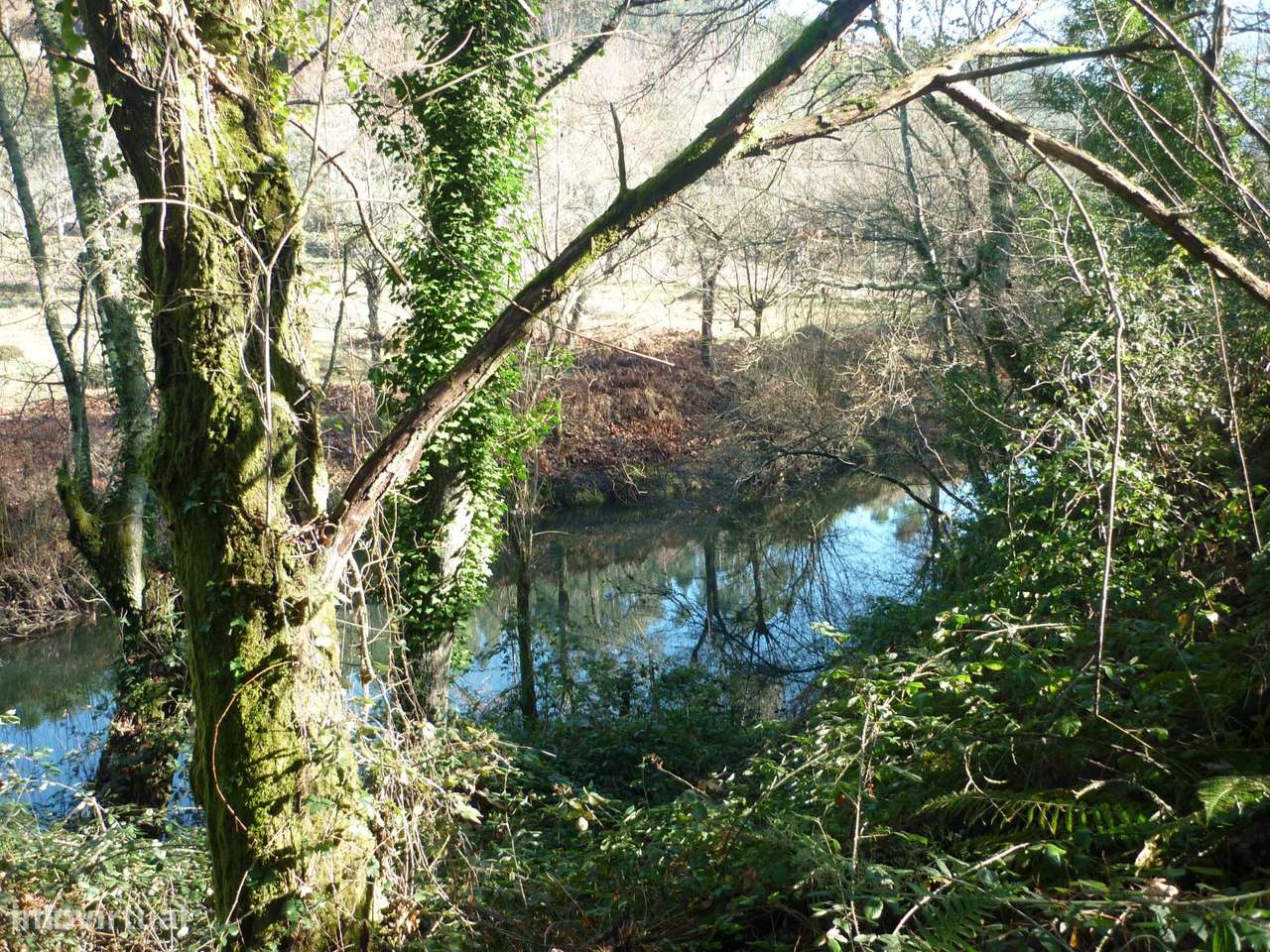 Terreno Junto a Nascente do Rio Ave!!!-6