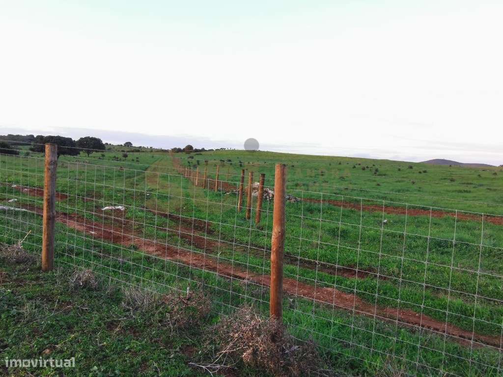 Herdade em Vila Verde de Ficalho, com cerca de duzentos hectares - Grande imagem: 4/60