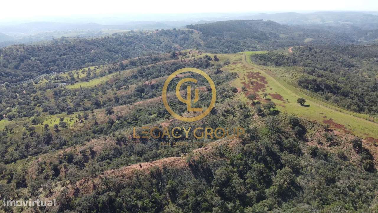 Herdade de 60 ha em Odemira - Grande imagem: 5/47