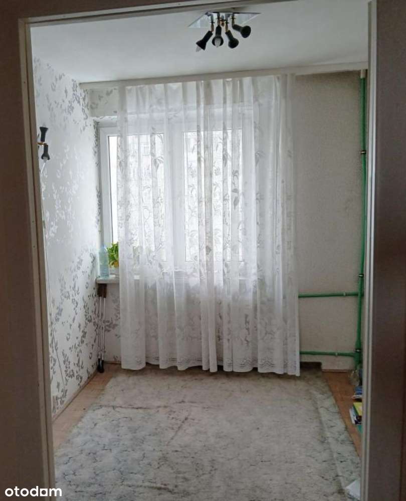 Sadyba | 4 pok | dobra kom. | zieleń | do remontu - Pełny obrazek: 4/11