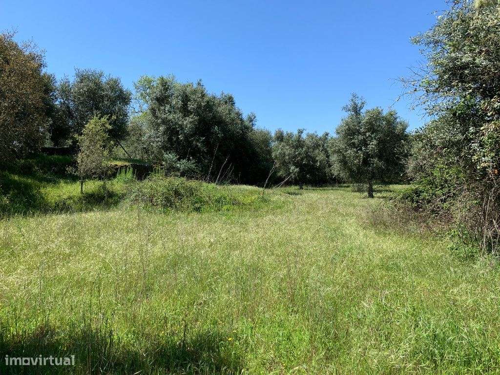 Quintinha, para venda, Ourique - Ourique-2