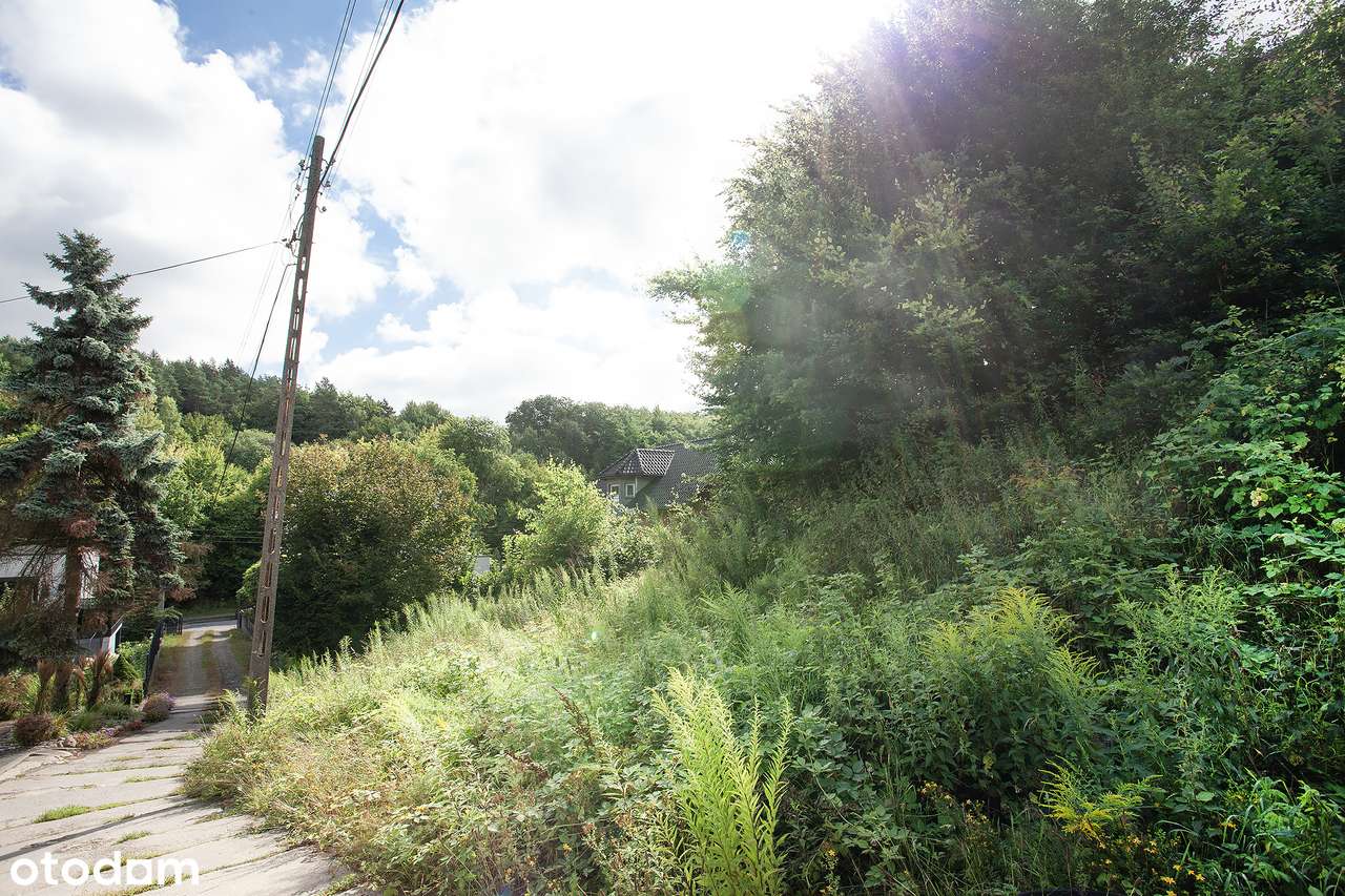 Jedyna działka w tej okolicy- Gdynia, Mały Kack - Pełny obrazek: 4/6