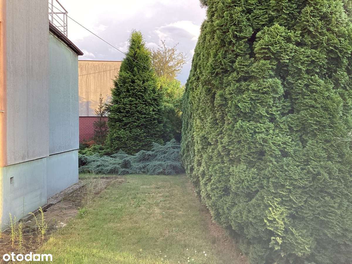 Dom na Ptasim Osiedlu sprzedam BEZPOŚREDNIO - Pełny obrazek: 2/6