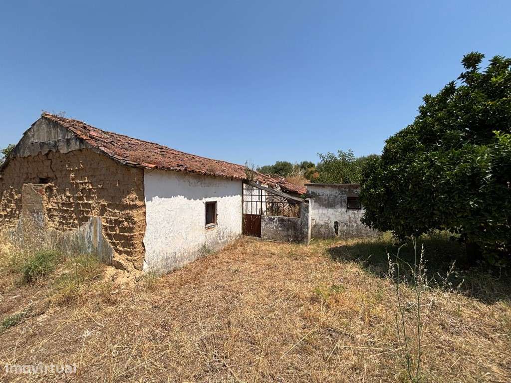 Conjunto de 3 habitações com 2.2ha na Chamusca - Grande imagem: 5/36