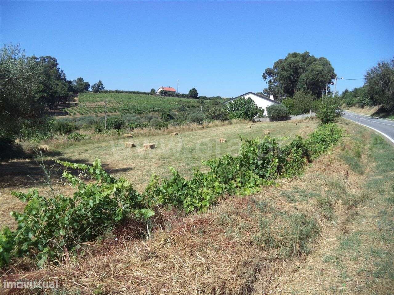 Quinta / Fundão, Pêro Viseu - Grande imagem: 2/7