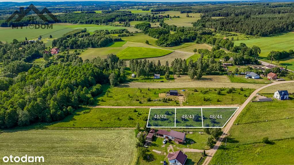 Działki 10a, Ostrowite Powiat Ostróda gmina Dąbrów - Pełny obrazek: 5/6