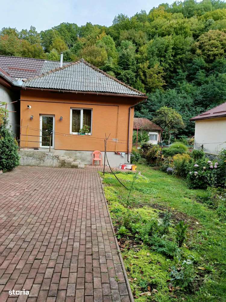 Casa langa parc Regina Maria ! - Imagine principală: 1/8