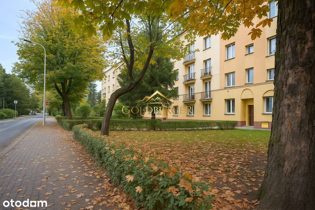 Okazja! Jasne i ustawne mieszkanie na Dębcu! - Pełny obrazek: 2/18