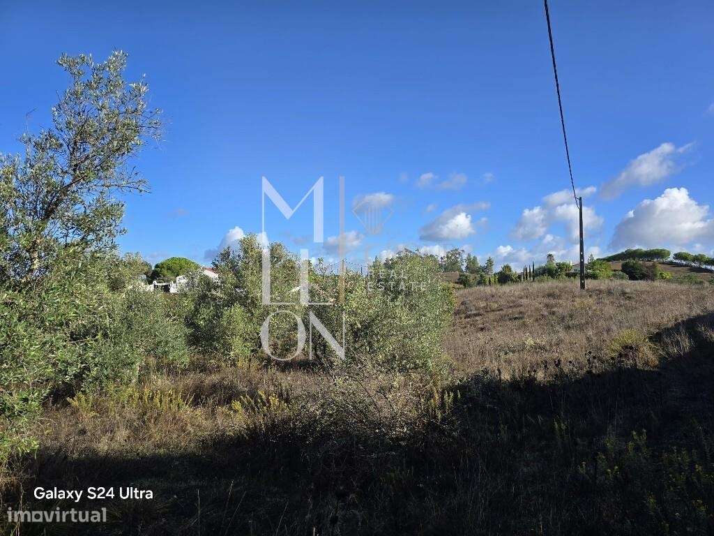 Casa em ruína com muito potencial inserida num terreno com 5920 m2 - Grande imagem: 5/9