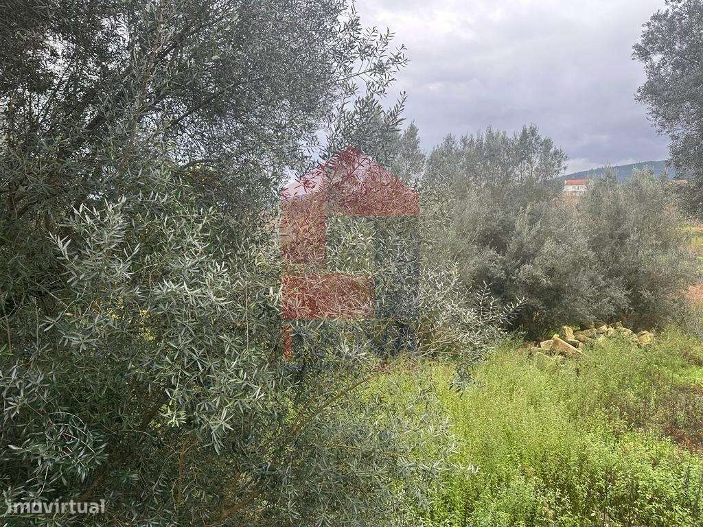 Terreno agrícola, Vilarinho - Grande imagem: 3/10