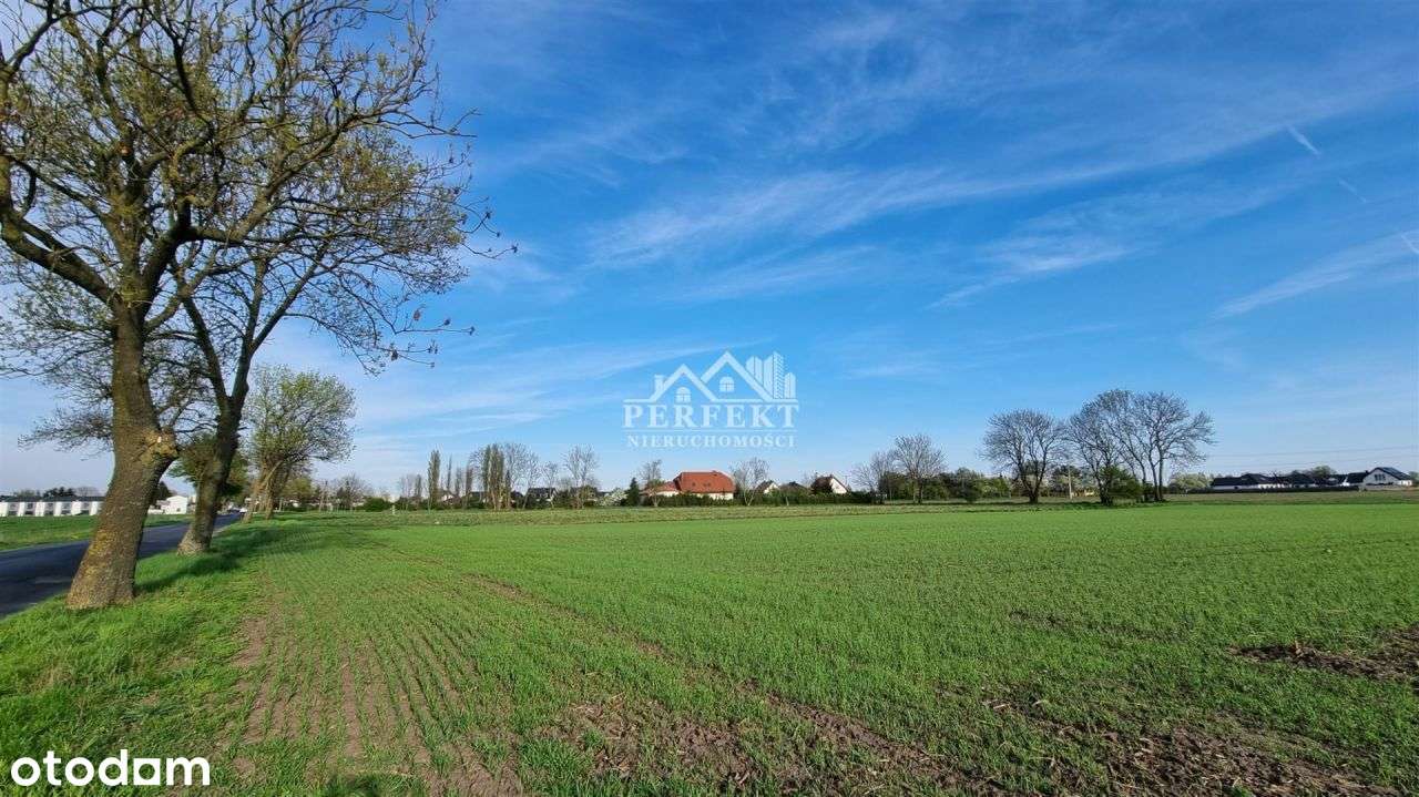 ul.Batkowska ~ działka 3.722m2 ~ dla Inwestora ! - Pełny obrazek: 4/5