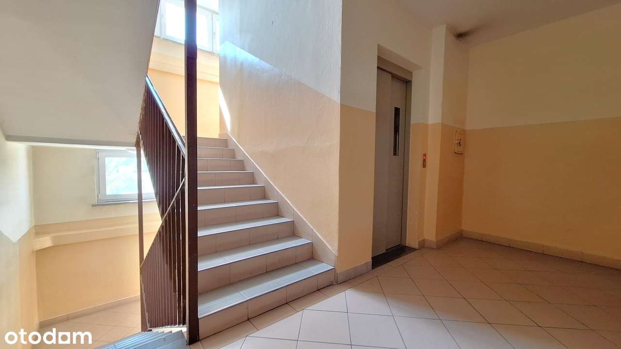 1/2 pokoje, duża kuchnia, balkon, piwnica, ciche, z zielonym widokiem-8