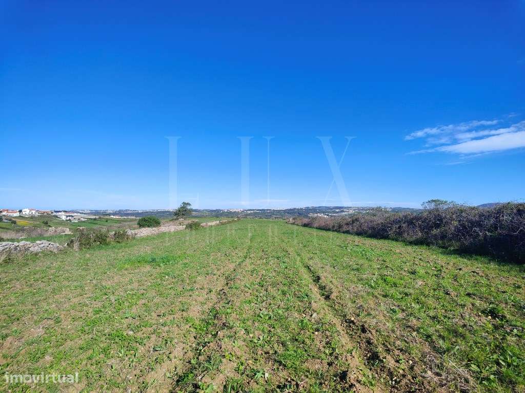 TERRENO COM 5.160m2 e FRENTE DE ESTRADA EM SINTRA - Grande imagem: 5/22