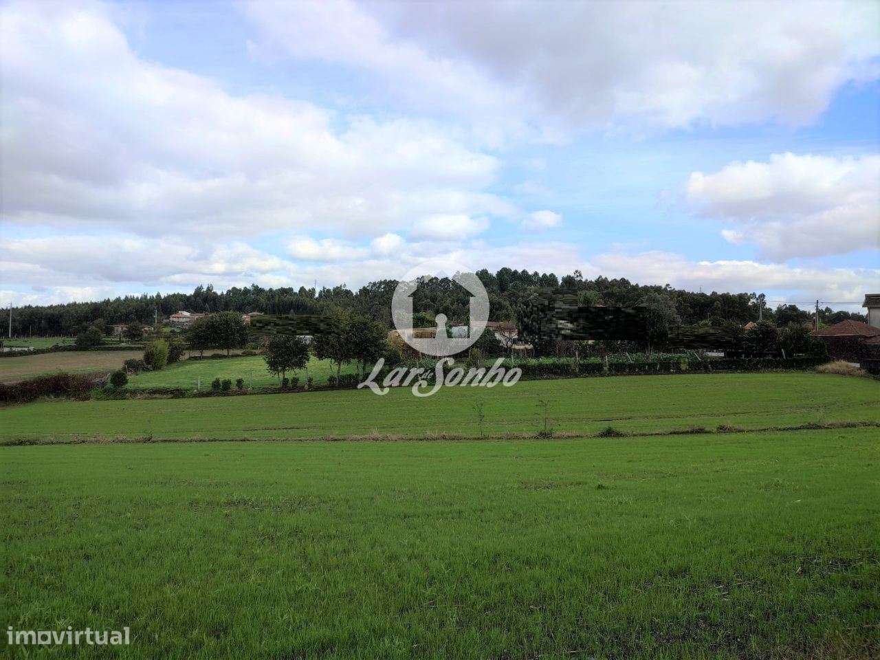 Terreno para construção com 7.000m2 em Ribeirão - Grande imagem: 4/5