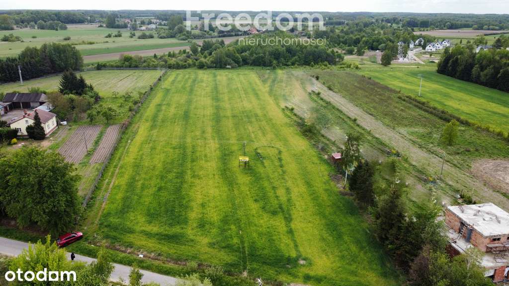 Sosnowica k/Mszczonowa - działki budowlane - Pełny obrazek: 2/4