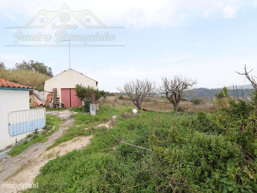 Moradia T3 com garagem e terreno 4120m2-22