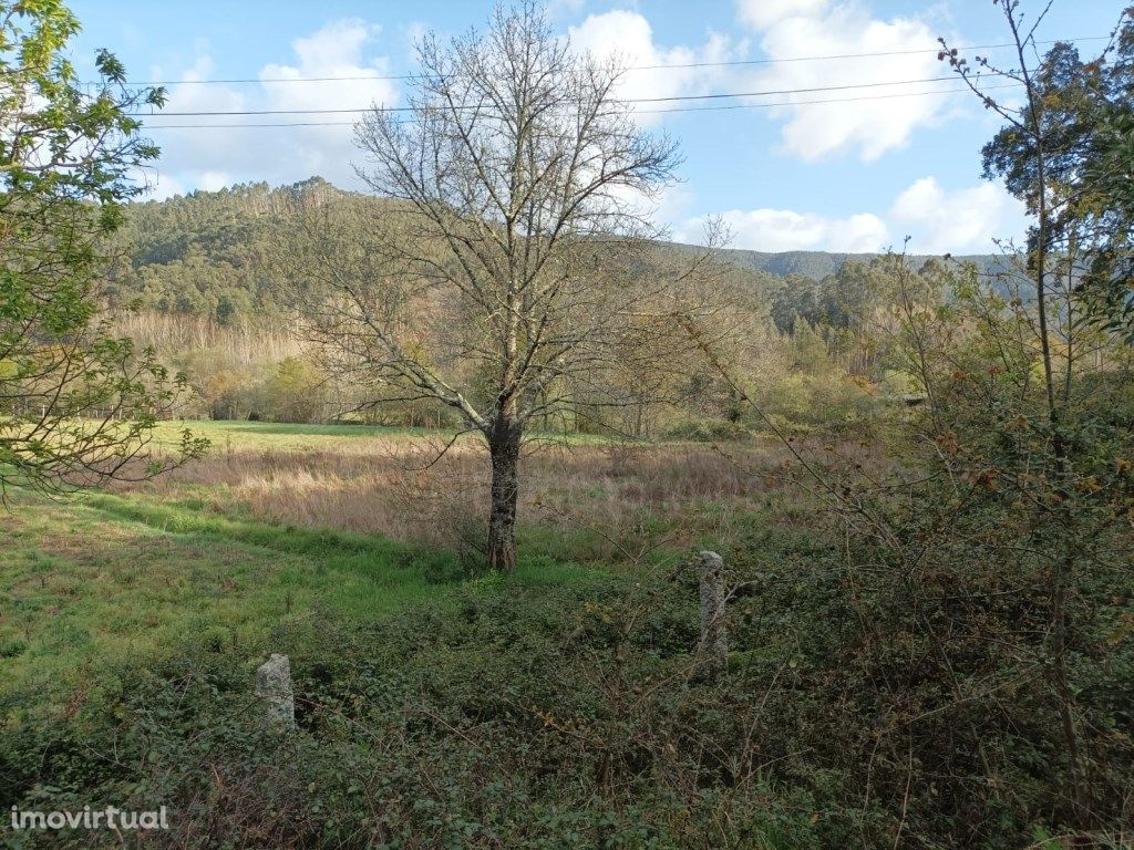 Terreno em Oliveira de Azeméis