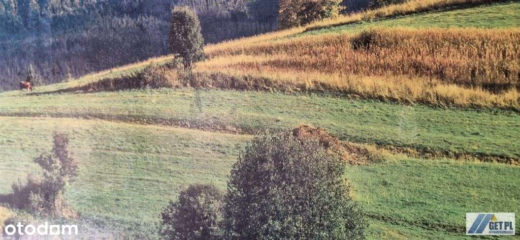 U stóp Babiej Góry - Pełny obrazek: 4/6