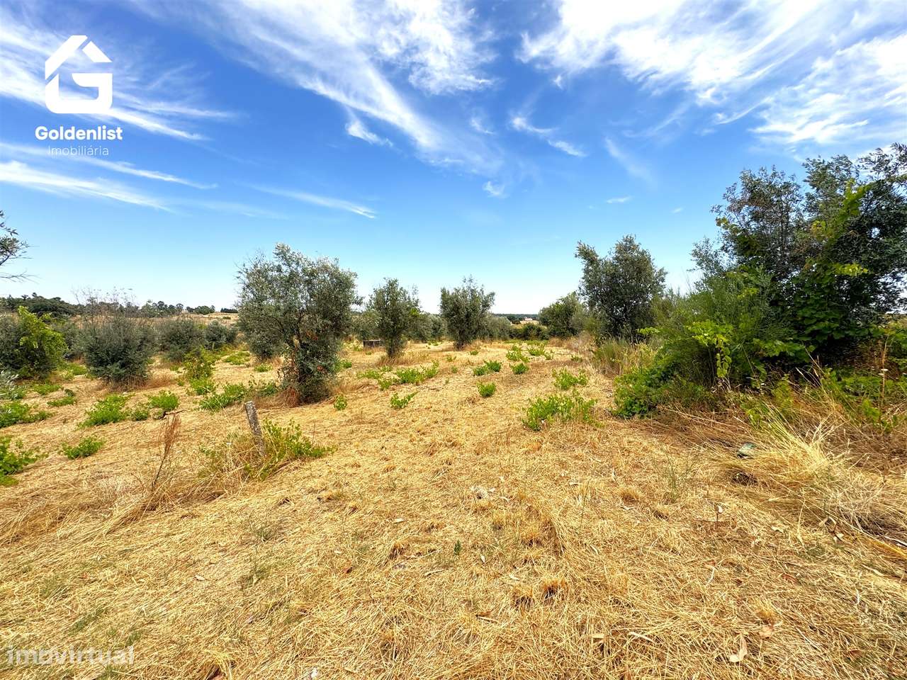 Quintinha  Venda em Escalos de Cima e Lousa,Castelo Branco-25