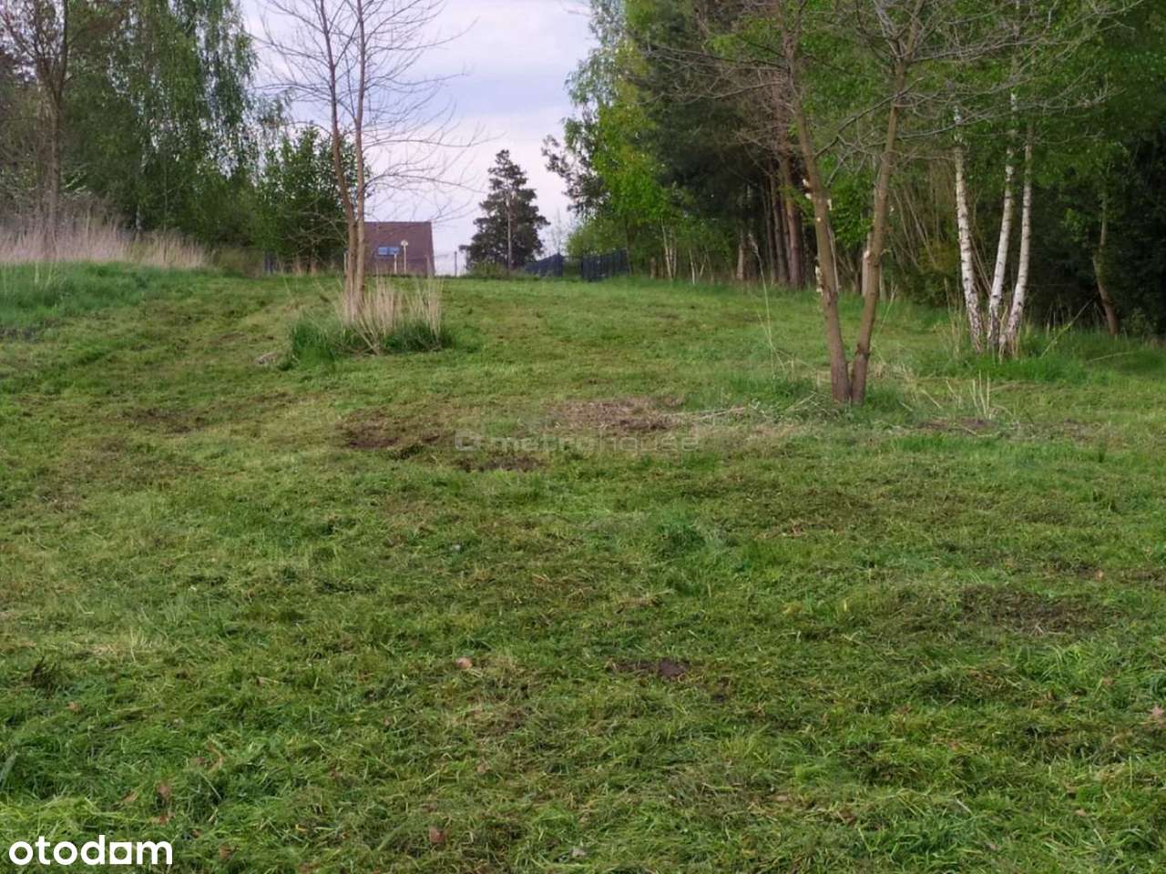 Działka na sprzedaż, Ciągowice-3