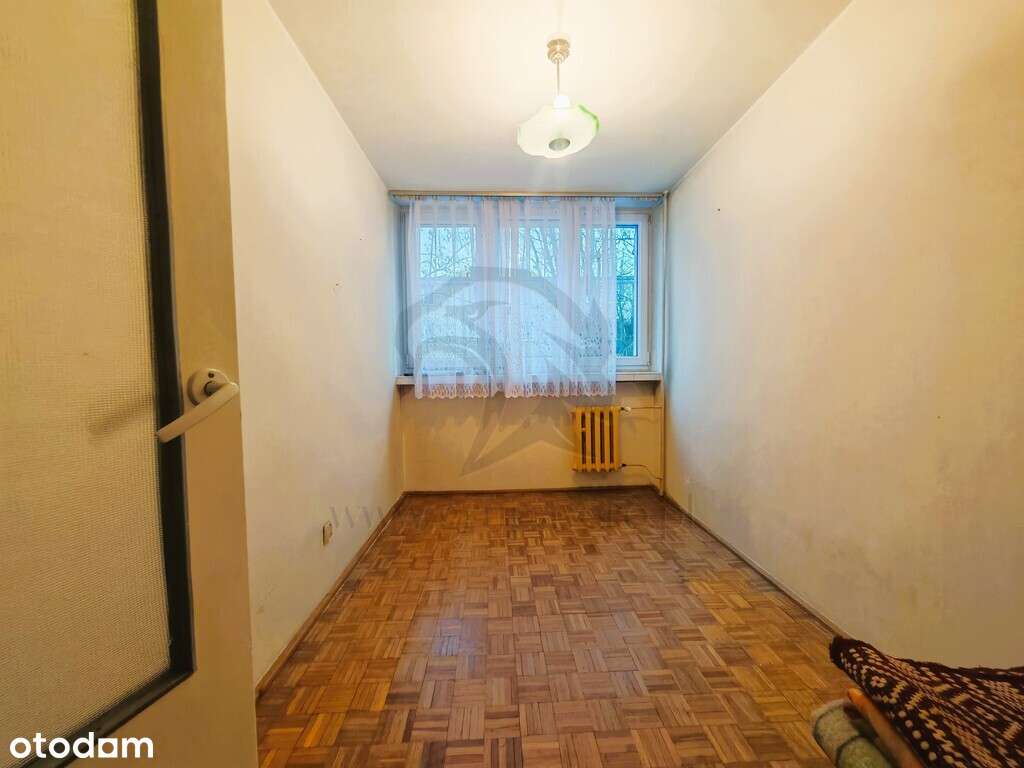 Serio - od zera i po swojemu - Pełny obrazek: 5/20