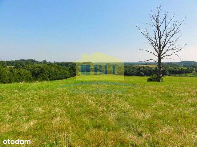 Działka 7,64ha z pięknym widokiem na okolicę!! - Pełny obrazek: 4/11