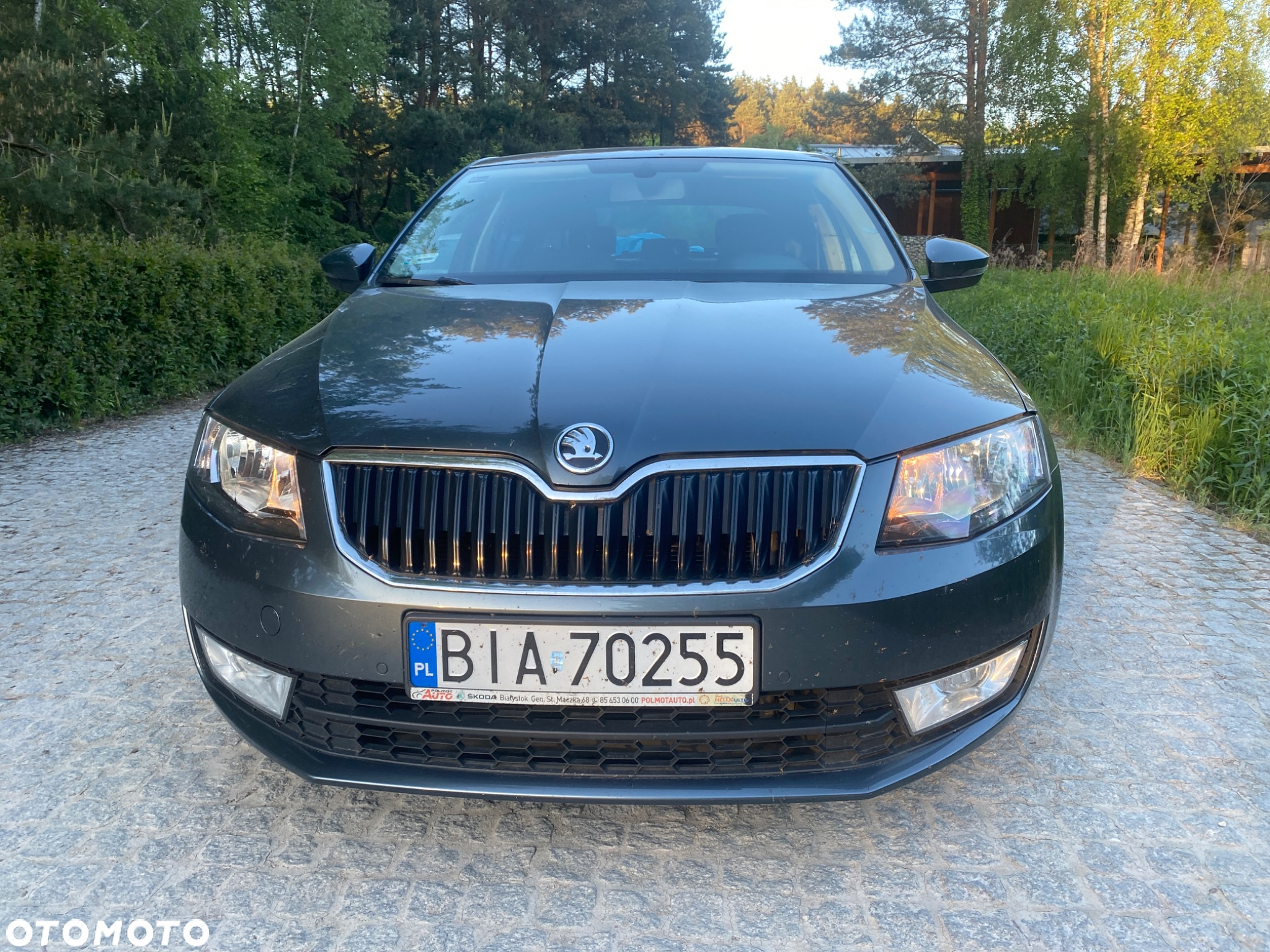 Skoda Octavia 1.4 TSI Ambition - 2