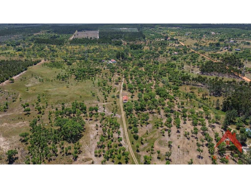 HERDADE DO BARRANCO - OPORTUNIDADE ÚNICA PARA TURISMO E INVESTIMENTO-8