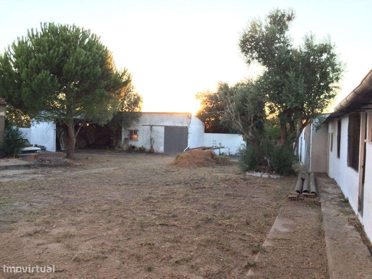 Herdade com 2 casas, Olaia, Torres Novas - Grande imagem: 2/13