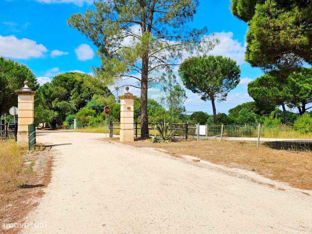 Lote de Terreno de 33.300m2, com lagoa, na Mata do Duque 1, Santo E...-33