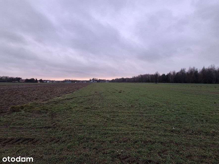 Teren 6 000 m2 przemysł/usługi/rzemiosło - Pełny obrazek: 4/5