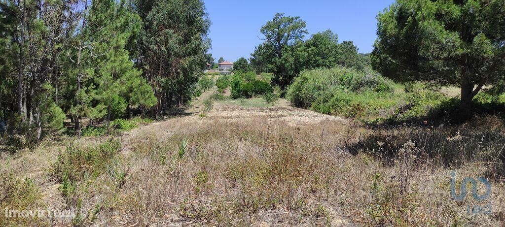 Terreno em Setúbal de 7209,00 m2