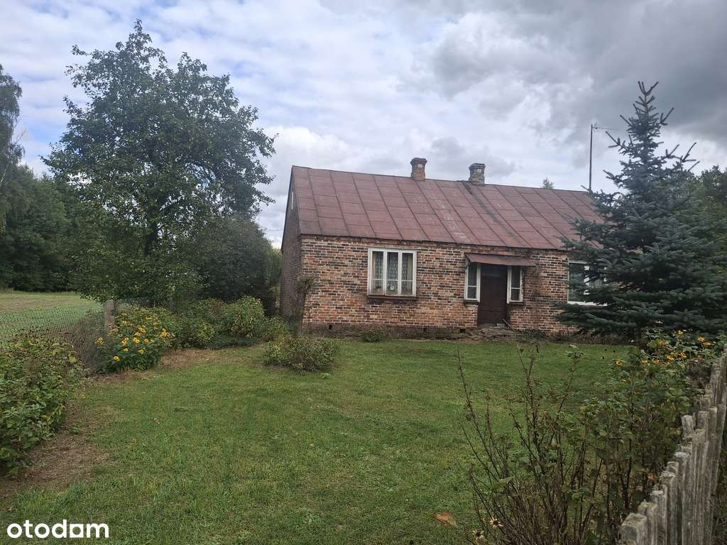 Siedlisko/ Nowy Ratyniec/ Sokołów - Pełny obrazek: 4/20