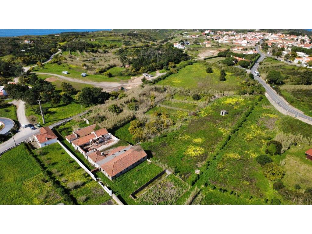 Terreno com 1,5 Hectarescom 4 Habitações junto ao Cabo da Roca-15