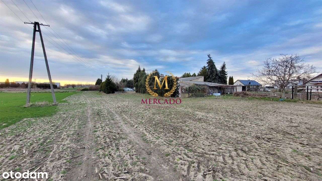 Działka 8789m2 z potencjałem - Pełny obrazek: 4/7