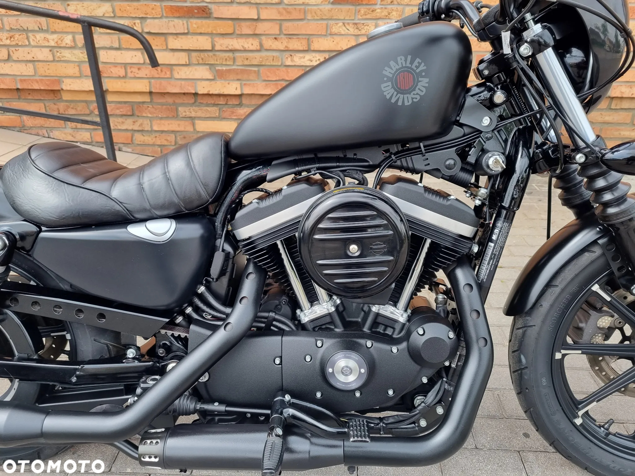 Harley-Davidson Sportster Iron 883 - 5