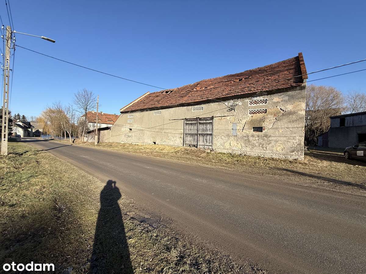 Sosnowa ,Dom wolnostojący + Gospodarstwo-7