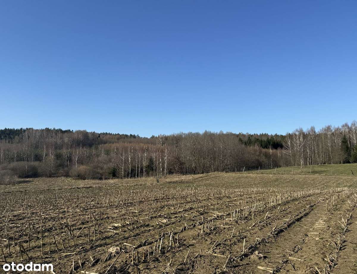 Działka budowlana Kierwiny, Kiwity z decyzją o warunkach zabudowy-8