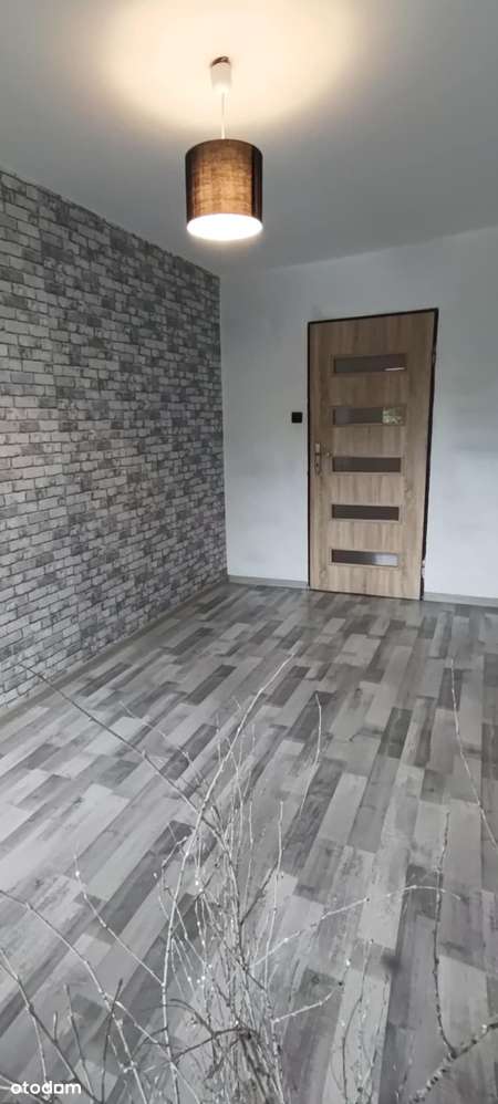 Duże, ustawne trzy pokoje w centrum miasta-4