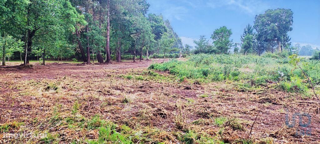 Terreno em Viana do Castelo de 500,00 m2