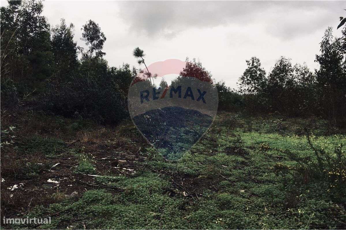 Terreno  para venda - Grande imagem: 4/5