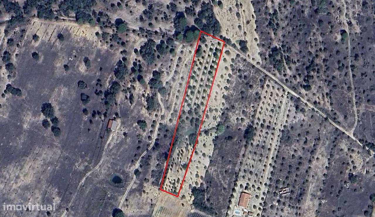 Terreno  para venda - Grande imagem: 3/11