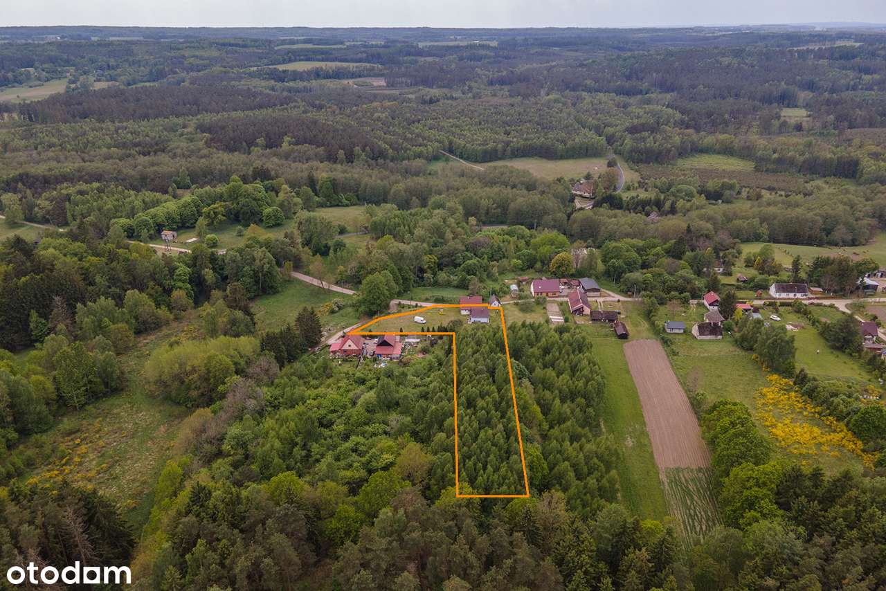 Ubiedrze - azyl wśród lasów i jezior – dom + budynek letniskowy - Pełny obrazek: 4/15