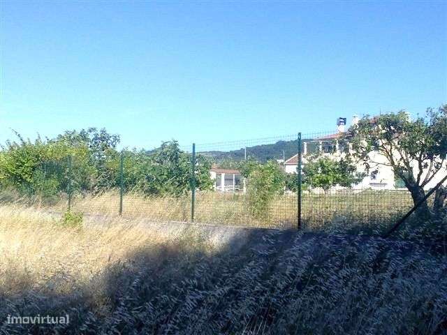 Palmela/Quinta do Anjo Terreno 6800m2 . - Grande imagem: 2/5