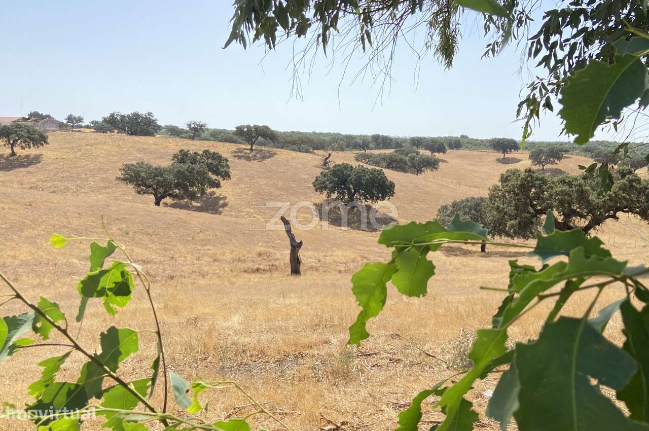 Herdade em Alentejo Beja Portugal - Grande imagem: 2/31