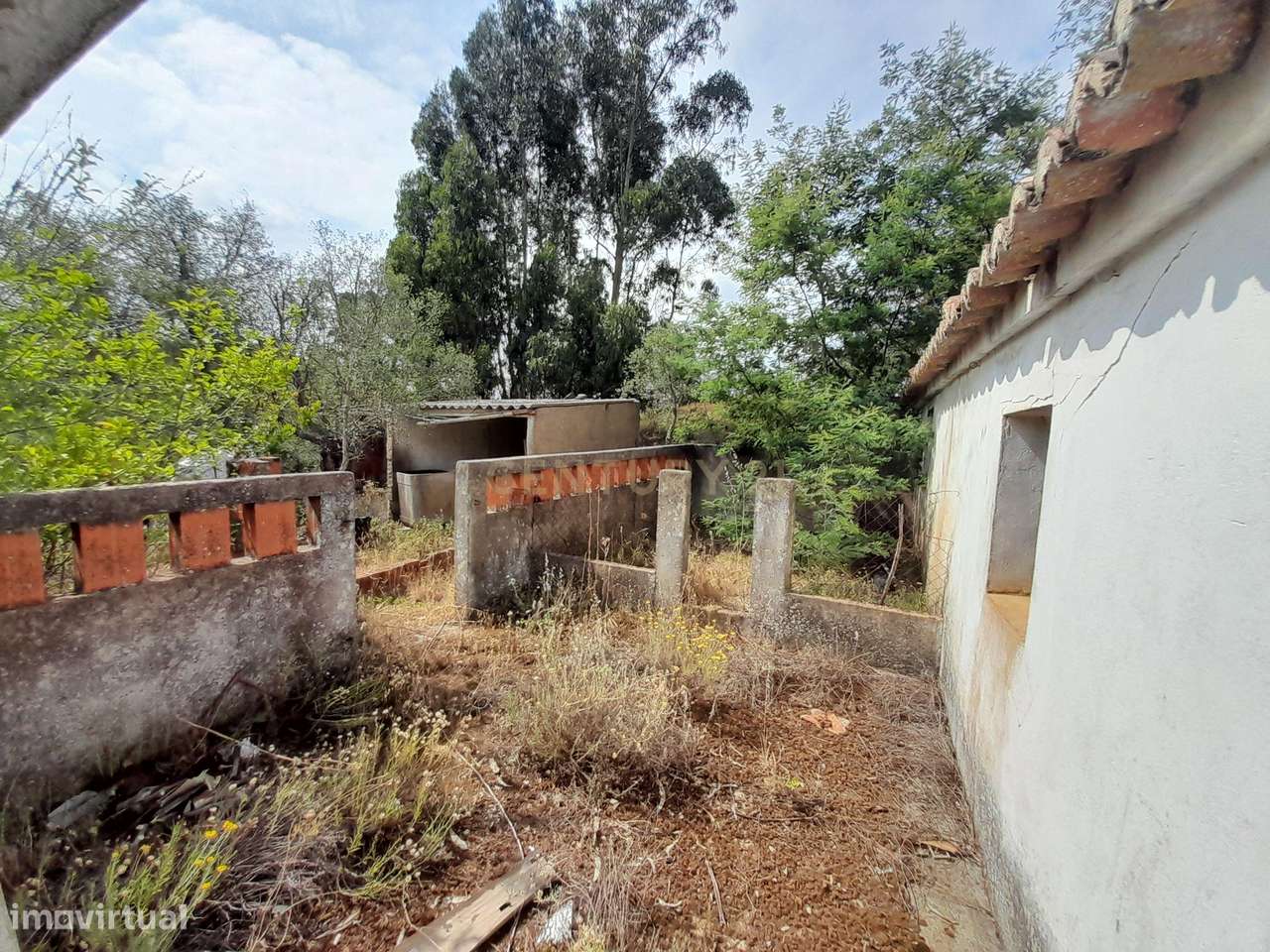 Herdade em Santana da Serra de 14 Hectares com casa de 100m2 para recu - Grande imagem: 4/44