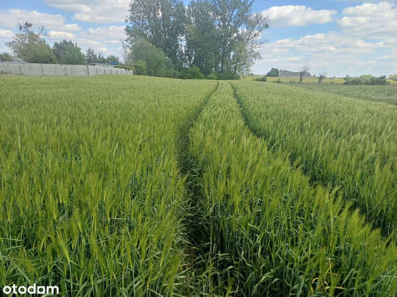 Dzialka budowlana w okolicy Tarnowa Podgórnego Gaj Wielki - Pełny obrazek: 4/7