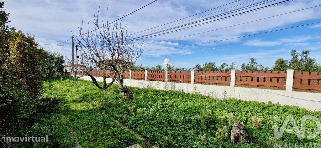 Casa / Villa T2 em Santo Isidoro de 123,00 m2 - Grande imagem: 4/30