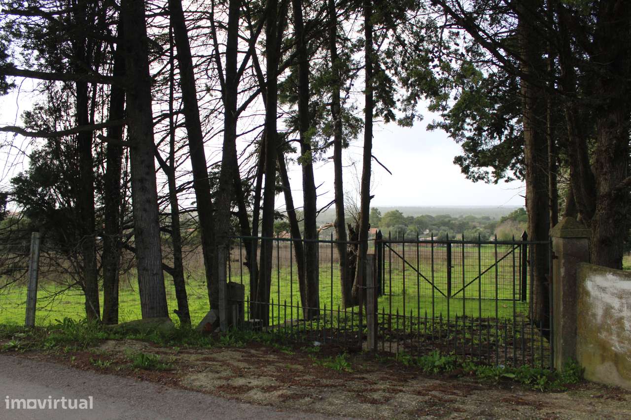 Moradia T2 com Jardim no Campo-7